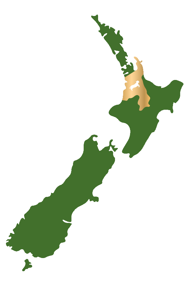 Location, Location, Location