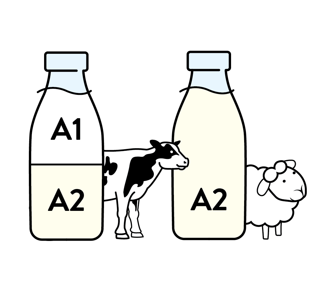 The easier to digest milk – naturally.