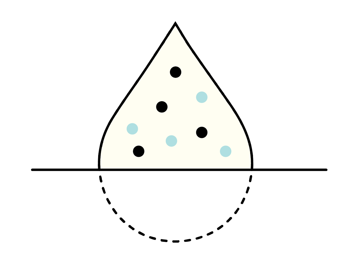 Sheep Milk is easier to absorb